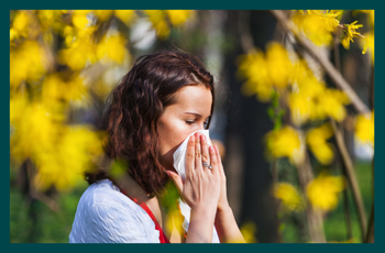 Why do people develop allergies later in life?