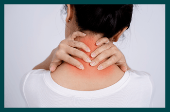 What is the neuromuscular system and why does it matter?